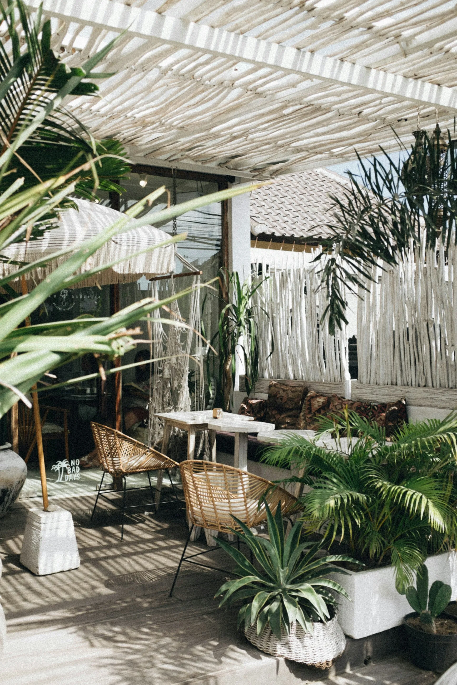 A shaded terrace with rattan chairs, white tables and large potted palms